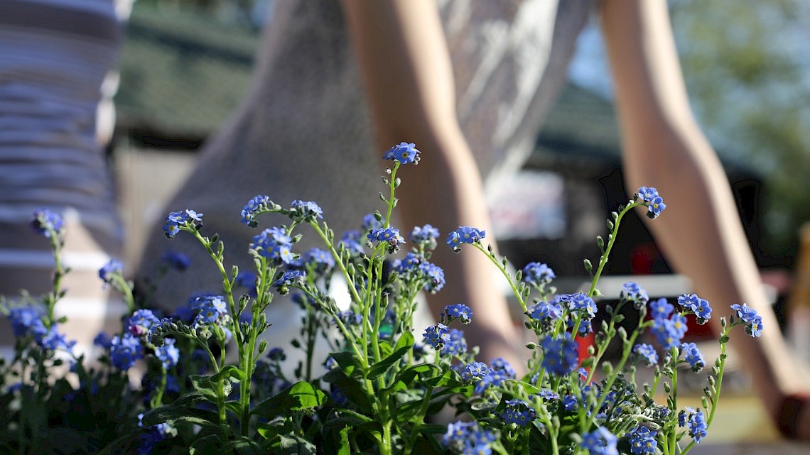 werk in de tuin in mei