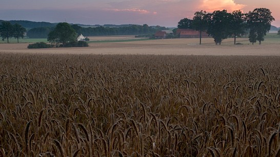 Dagje 'outdoor' in Osnabrücker Land