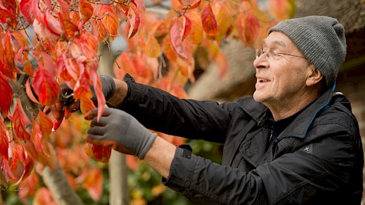 Herfst bij Tuindoenerij ’t Vlijtig Loesje in Elp