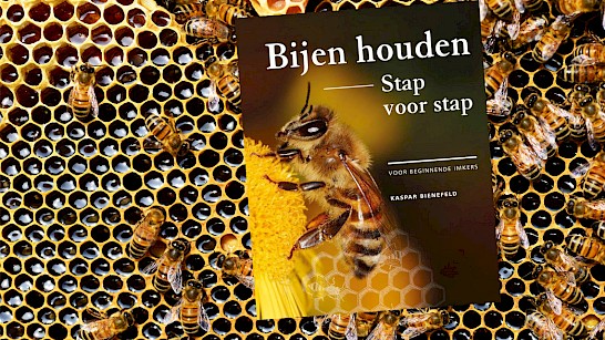 Bijen houden stap-voor-stap: voor beginnende imkers