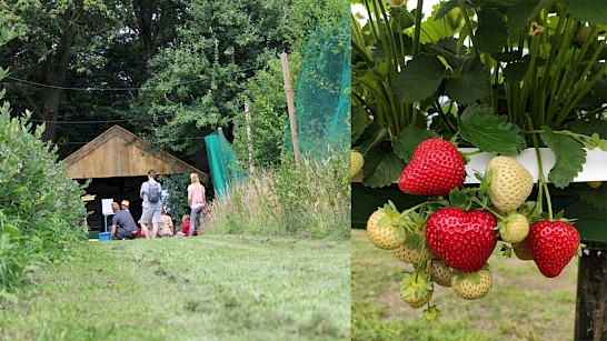 Kom langs, proef en geniet bij TwenteFruit!